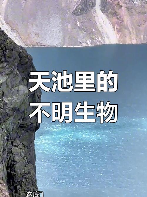 长白山天池怪兽图片，长白山天池怪兽图片真实  第1张