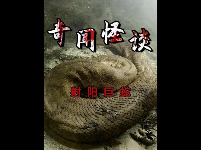 蛇真实事件？关于蛇的真实事件？  第4张