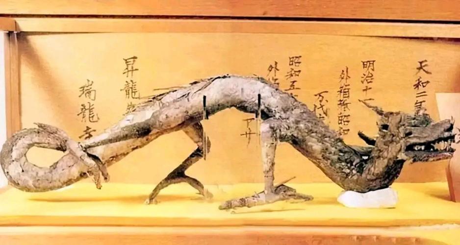 中国最后一条真龙现身？中国最后一条真龙现身在哪里？  第3张