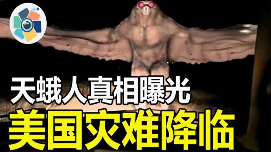 911事件诡异照片，911事件诡异照片大全？  第5张