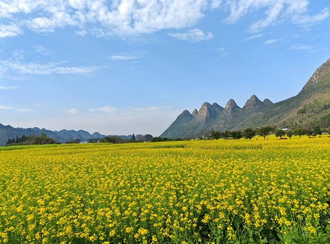 云南兴义市天气预报，兴义 天气预报  第3张