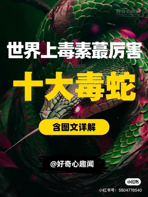 全球最毒的前十毒蛇排名榜，世界上最毒的蛇第一名是谁？  第3张