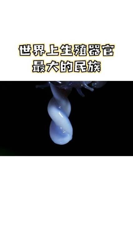非洲象人族简介，非洲象族人的特点是什么  第2张
