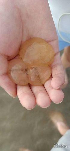非洲象人族简介，非洲象族人的特点是什么  第3张
