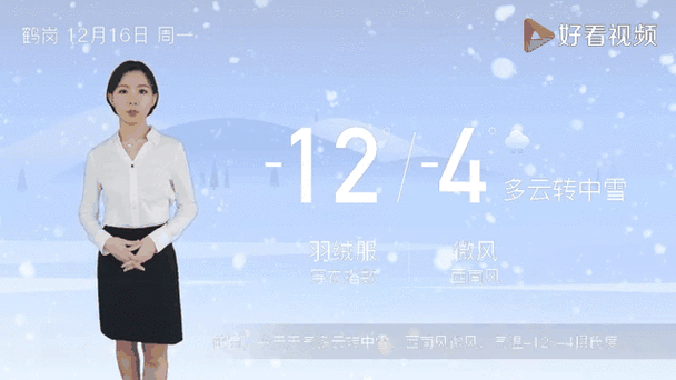 鹤岗十一月天气预报？鹤岗2021年天气？  第3张
