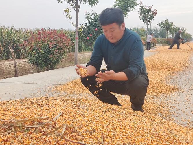 玉米男孩儿原图，玉米男孩儿原图照片  第2张