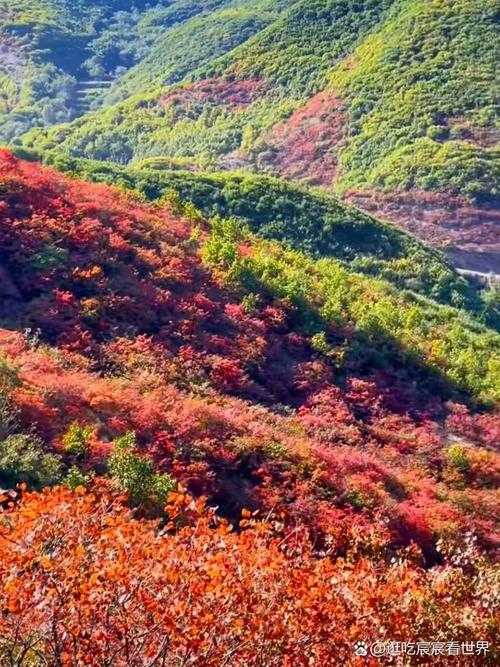嵩县天气预报10月，嵩县天气预报10月份？  第2张