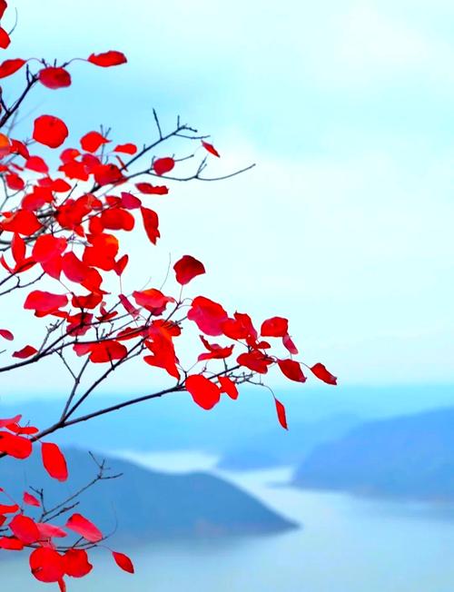 嵩县天气预报10月，嵩县天气预报10月份？  第3张