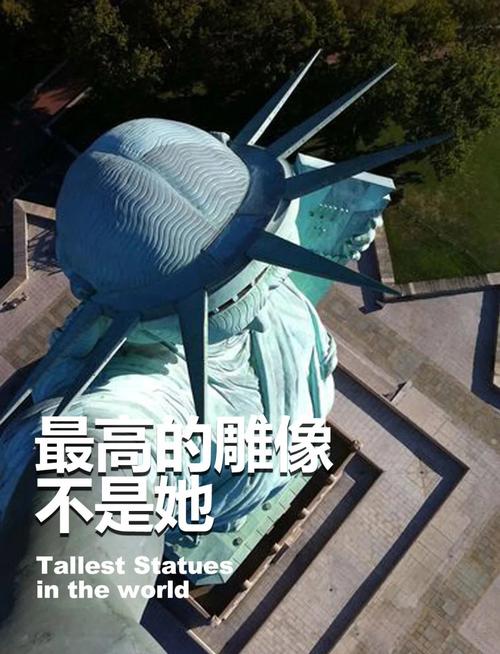 世界上最大的鸟有多大，世界上最大的鸟长啥样？  第1张