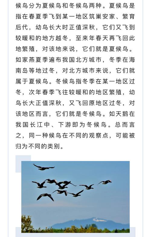 世界上最大的鸟有多大，世界上最大的鸟长啥样？  第5张
