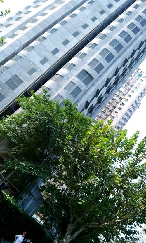 上海胶州路大火，上海胶州路大火后业主去哪了  第3张
