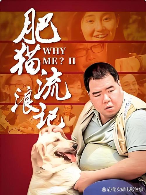 肥猫午马事件？肥猫肥猫？  第2张