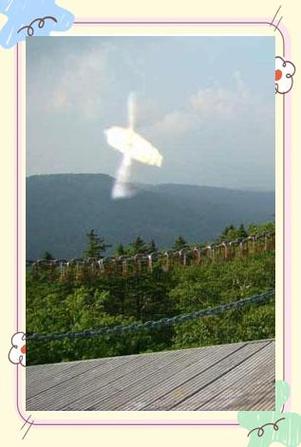 外星人的抓拍照片，外星人的怎样拍摄的？  第6张