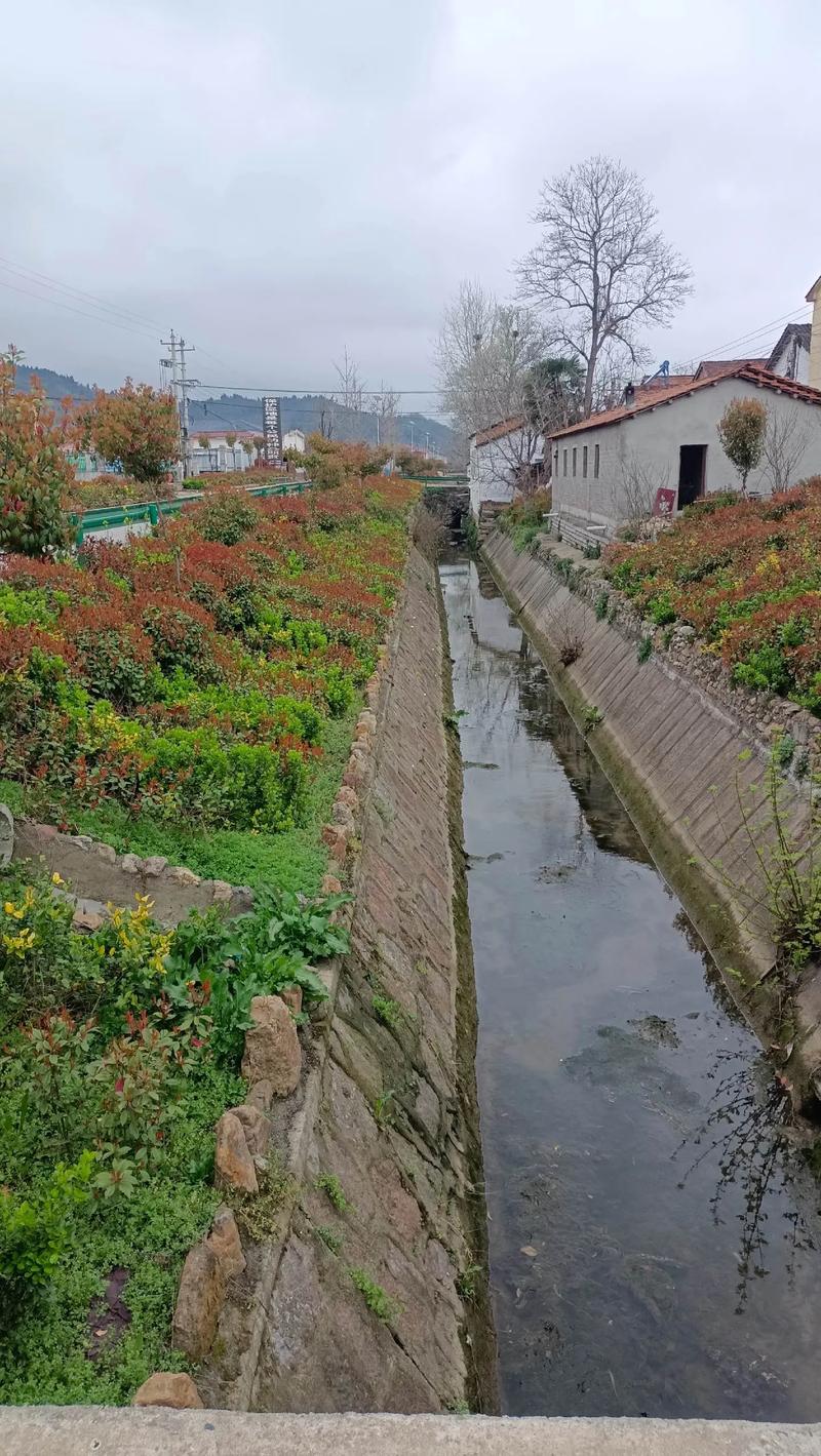 下载襄阳市天气预报，襄阳地区天气预报？  第1张