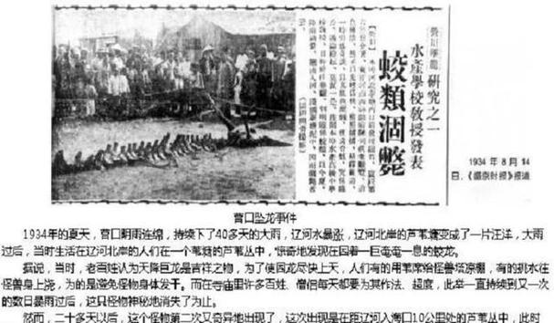营川坠龙事件电影？营川坠龙事件龙骨去哪了？  第5张