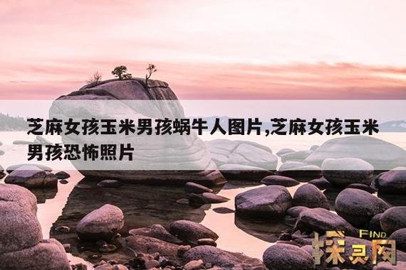 芝麻进毛孔恶心图片，芝麻渗进皮肤  第2张