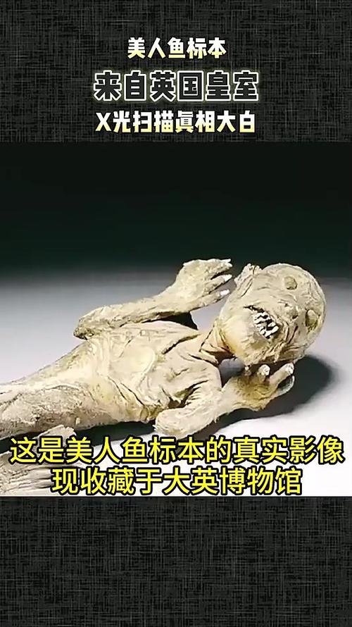 中国发现真实美人鱼？中国的美人鱼真的存在吗?视频?？  第6张
