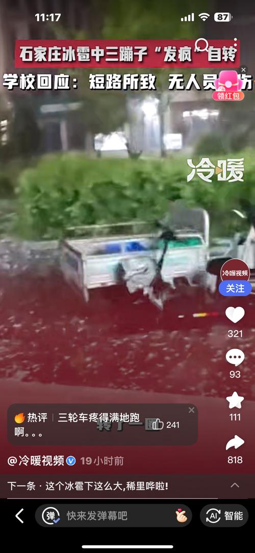 晋州市24小时天气，晋州24小时天气查询  第5张