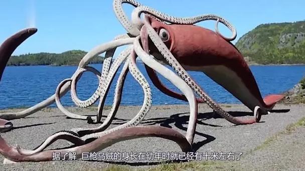 抹香鲸和大王乌贼为什么是天敌？抹香鲸和大王乌贼哪个厉害？  第3张