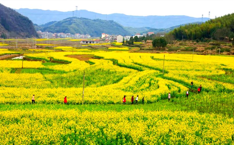 通城天气预报60天，通城天气30天？  第1张