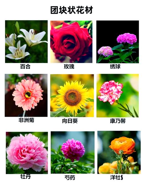 世界上有什么花，世界上最美丽的花是什么花？  第3张
