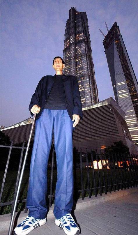 世界上比较高的人有多高？世界上比较高的人有多高视频？  第2张