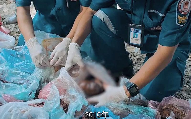 泰国养小鬼是怎么回事，泰国养小鬼有什么好处  第2张