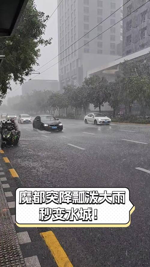 新都区天气预报更新，新都区天气预报更新一周  第4张