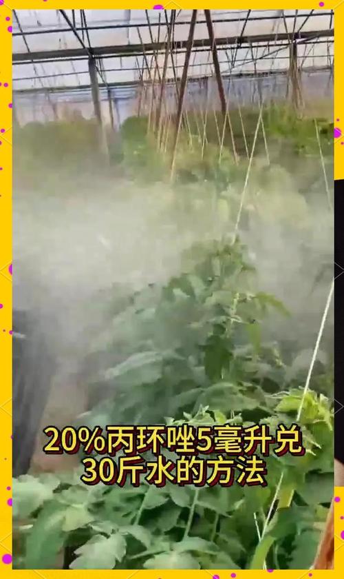 招远7月份天气预报，招远7月份天气预报查询？  第4张