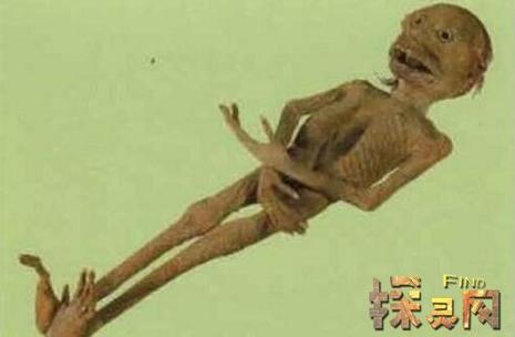 水猴子水鬼吃人视频，水猴子水鬼吃人视频在线观看？  第3张