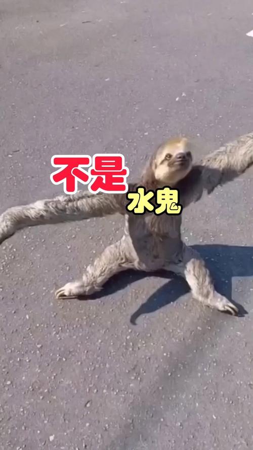 水猴子水鬼吃人视频，水猴子水鬼吃人视频在线观看？  第6张