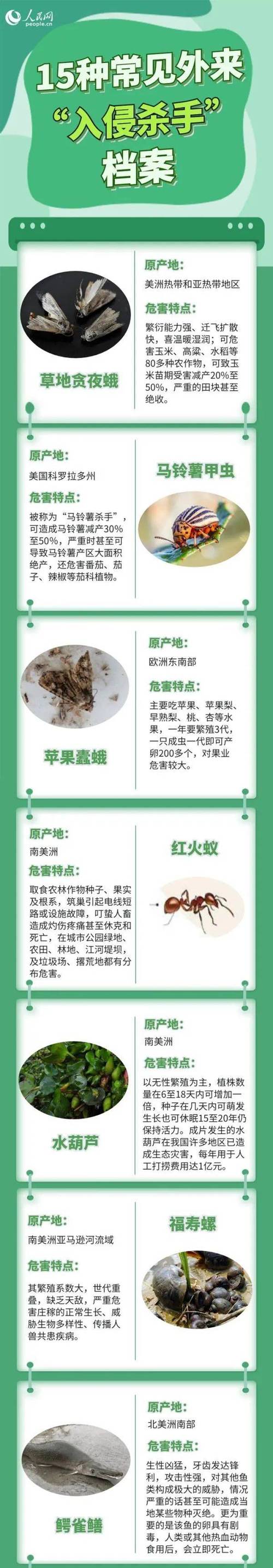 黄金箭毒蛙灭绝了吗？黄金箭毒蛙ld50？  第6张