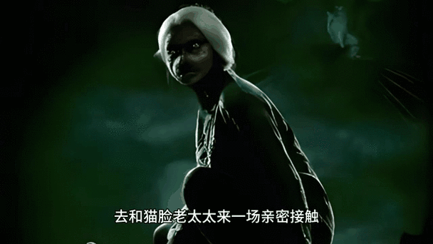 中国前十灵异事件之猫脸老太太？猫脸老太鬼故事？  第5张