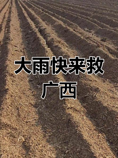靖西市未来天气预报，靖西市近15天天气  第4张