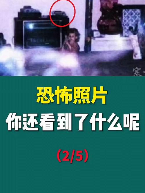 世界上前十诡异图片大全，世界上前十诡异图片之一  第6张