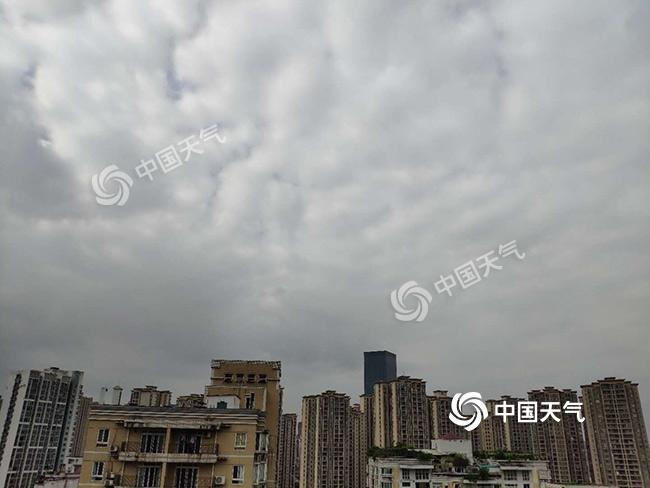 高力板明天天气预报，高力板未来15天天气  第5张