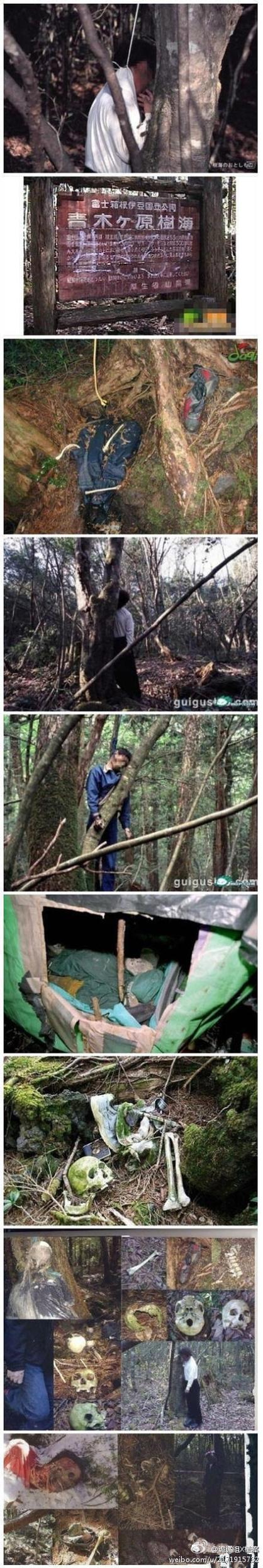 世界水怪事件，世界知名水怪  第3张