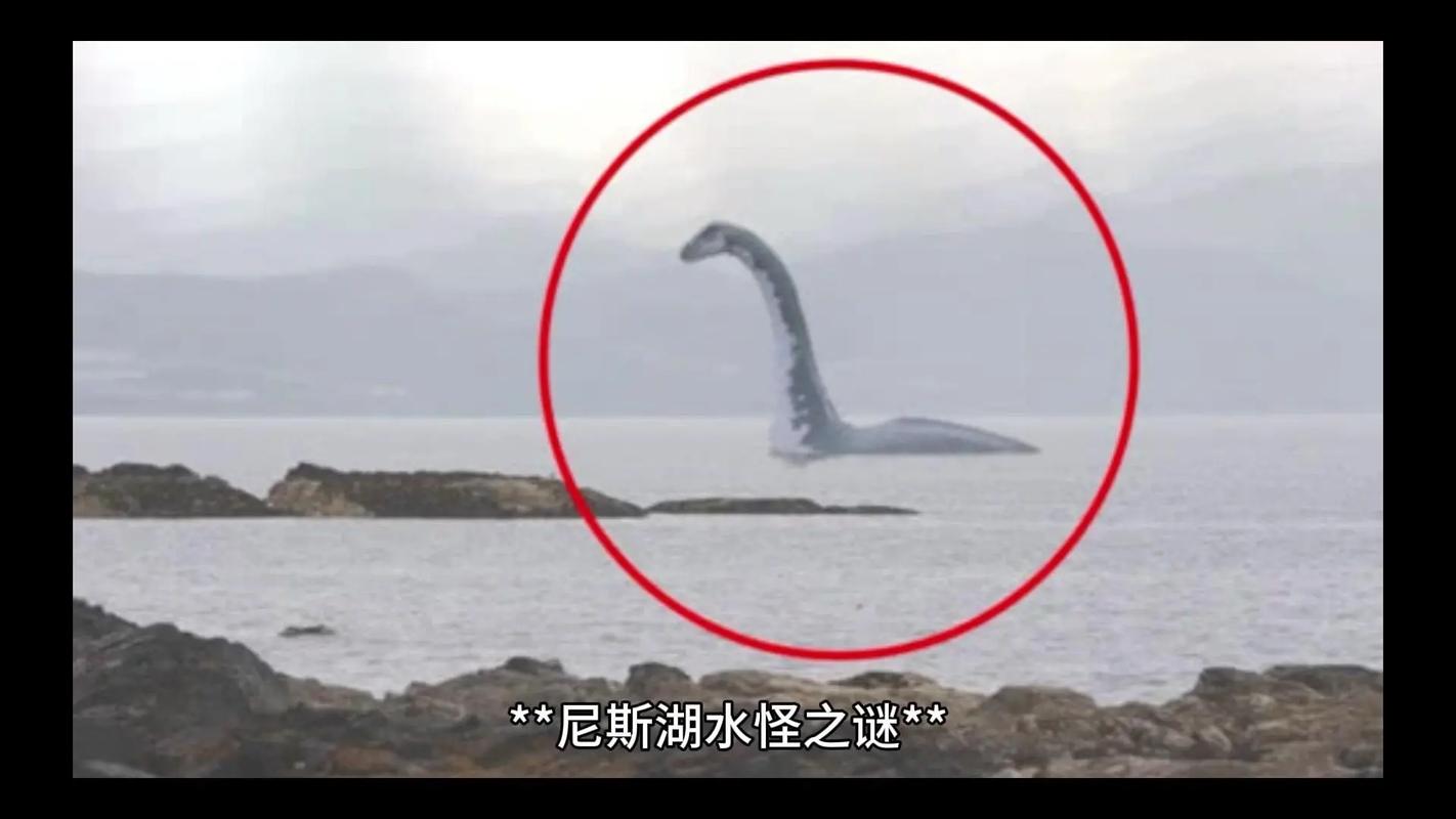 世界水怪事件，世界知名水怪  第5张