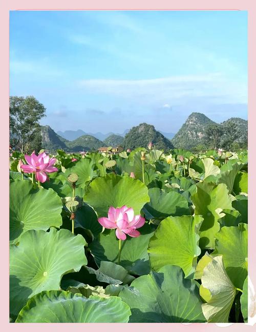 普者黑本周天气情况？普者黑的天气预报30天？  第3张