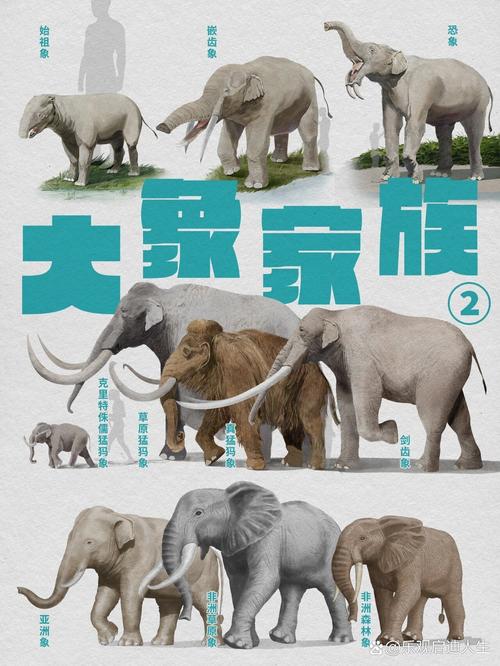 象人族的特点，象人族是真的还是假的？  第1张