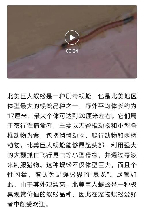 黄金箭毒蛙食物，黄金箭毒蛙简笔画？  第2张