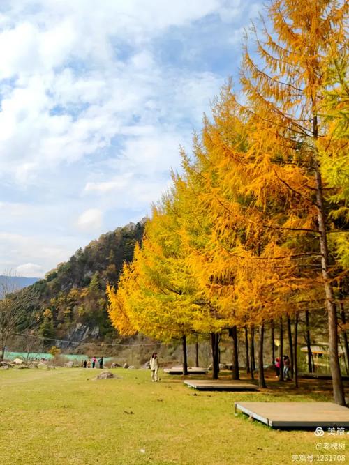 黎坪风景区天气预报，黎坪天气预报一周天气预报  第1张
