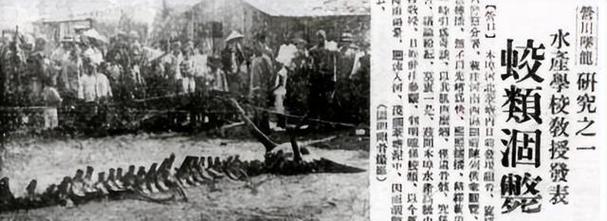 1992年故宫灵异事件真相，1992年故宫灵异事件 真实  第5张