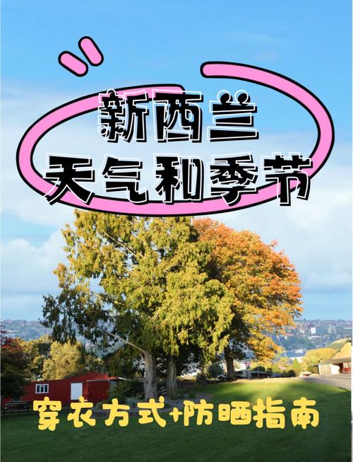 新西兰四季天气情况，新西兰四季天气情况图？  第3张