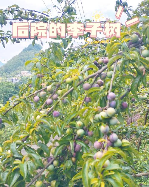 建始县发布天气预报，建始县城天气预报？  第4张
