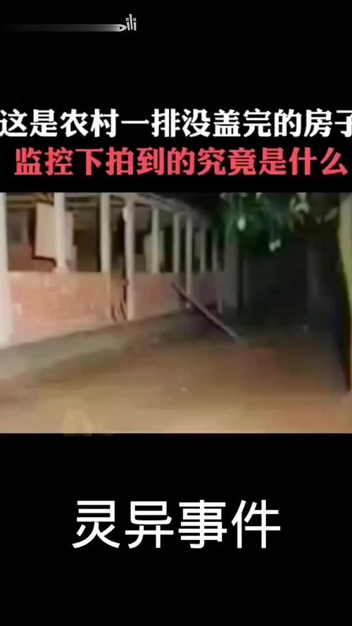 如月车站的真相，如月车站解析  第3张