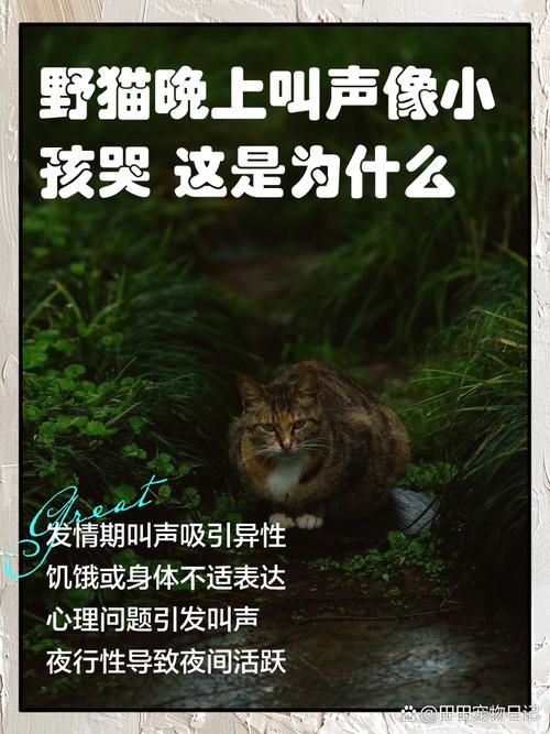 中国闹鬼灵异事件？中国闹鬼灵异事件有哪些？  第6张