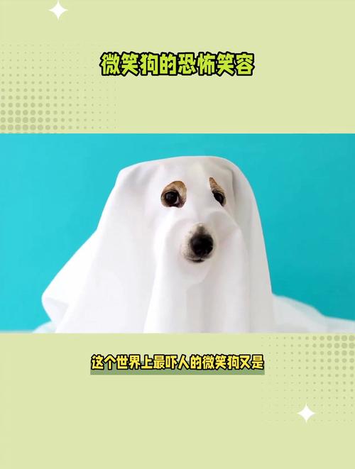 和笑脸狗一样的恐怖照片，类似笑脸的符号？  第1张