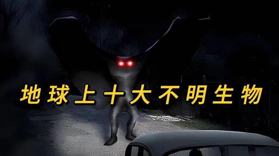 8个被拍到的不明生物，世界上被拍到的不明生物  第1张