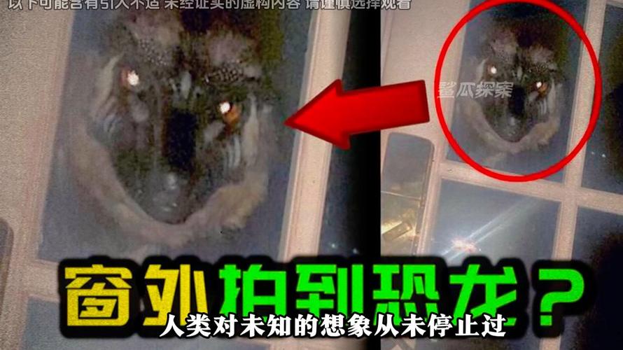 8个被拍到的不明生物，世界上被拍到的不明生物  第4张